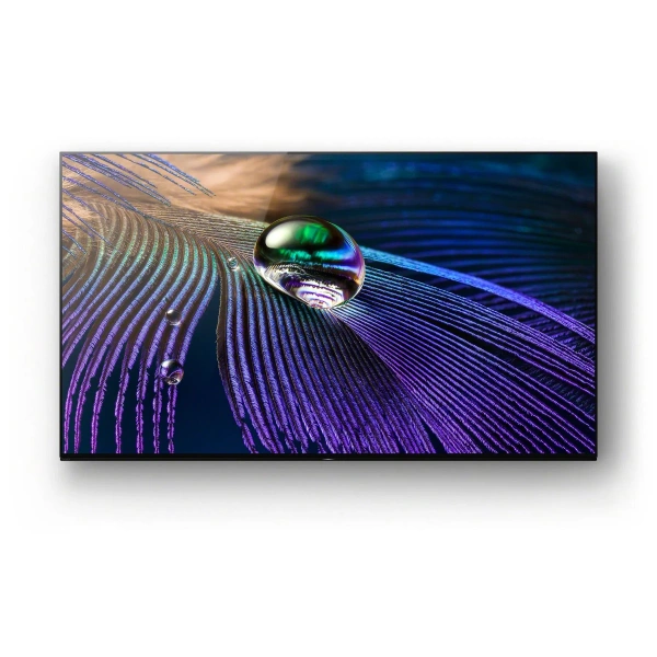 Sony 55'' Masters OLED XR-55A90J Android TV